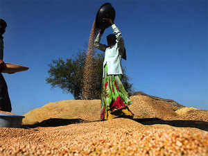 Maharashtra announces financial aid for tur farmers