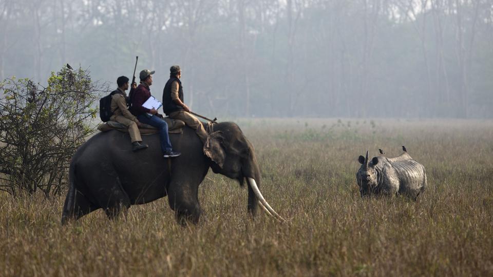 Animal kingdom declared as legal entity